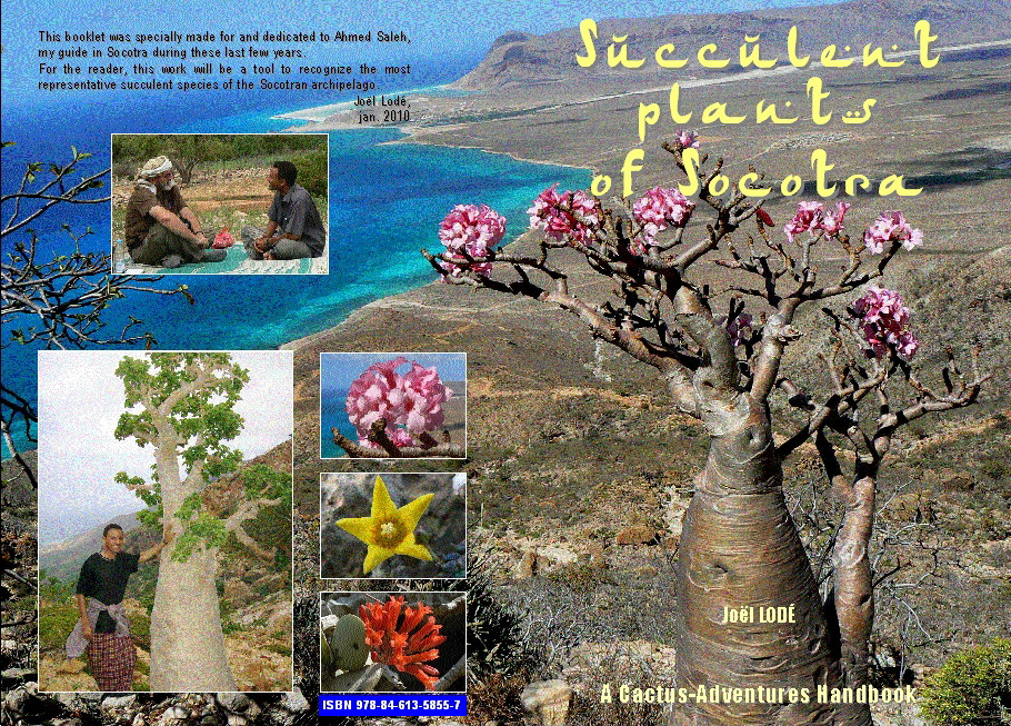 SUCCULENT PLANTS OF SOCOTRA