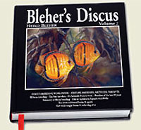 BLEHER S DISCUS 2