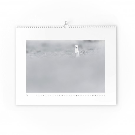 CALNDRIER MUNIER 2015