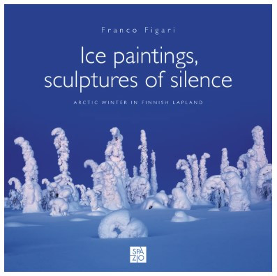 ICE PAINTINGS  SCULPTURES OF SILENCE