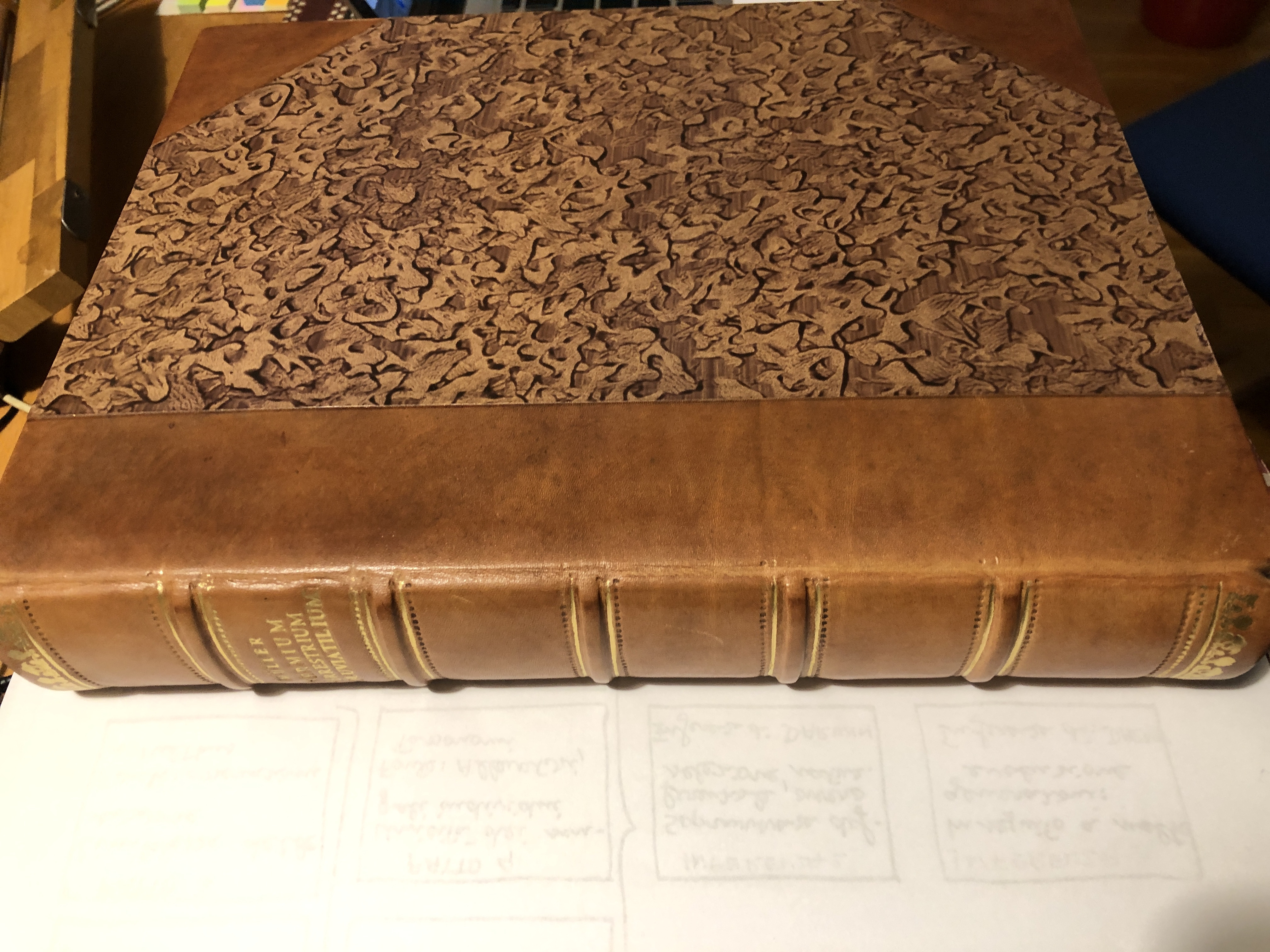VERMIUM TERRESTRIUM ET FLUVIATILIUM, SEU ANIMALIUM INFUSORIUM HELMINTHICORUM ET TESTACEORUM NON MARI