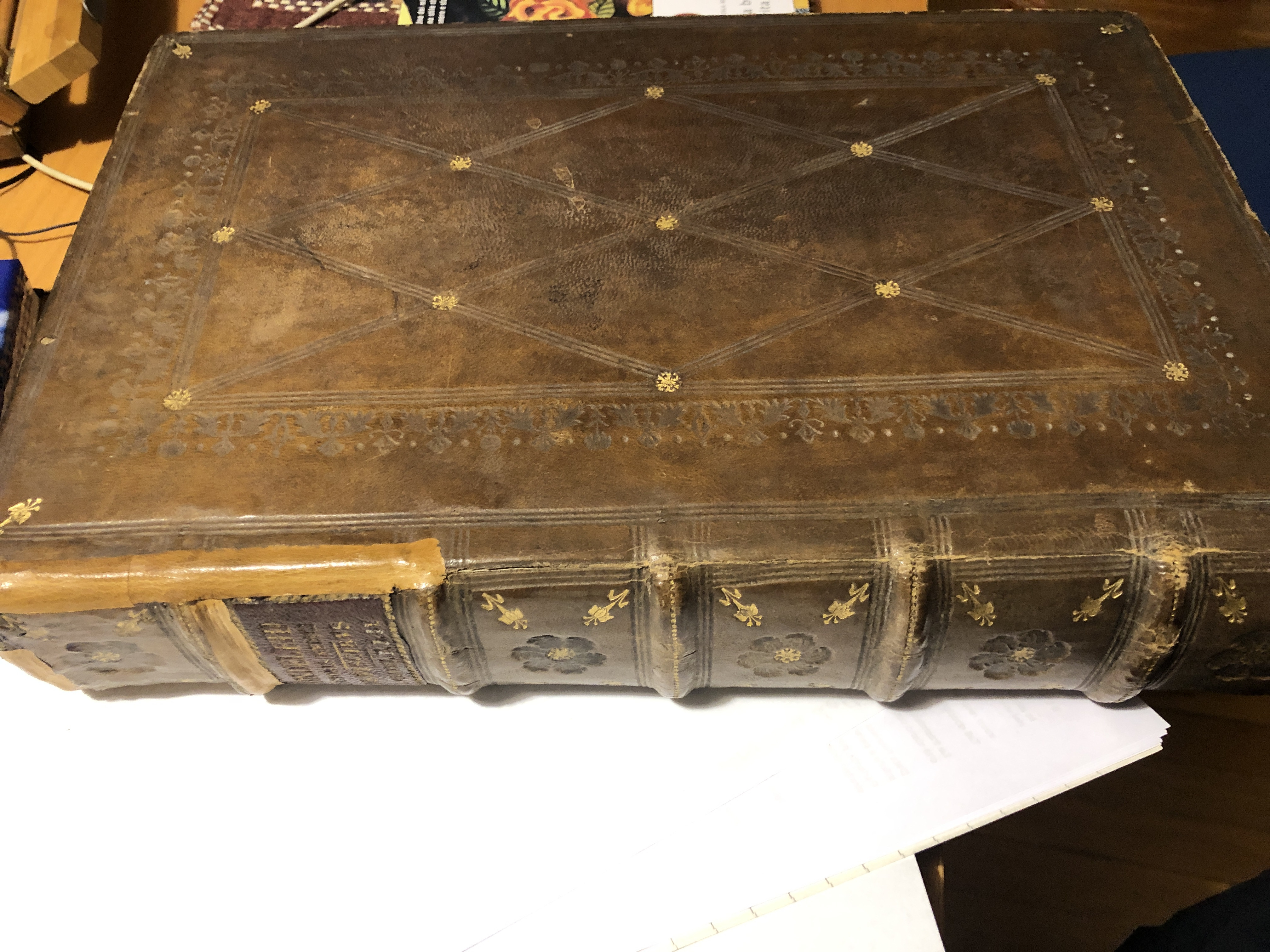 LIBRI DE PISCIBUS MARINIS : IN QUIBUS VERAE PISCIUM EFFIGIES EXPRESSAE SUNT