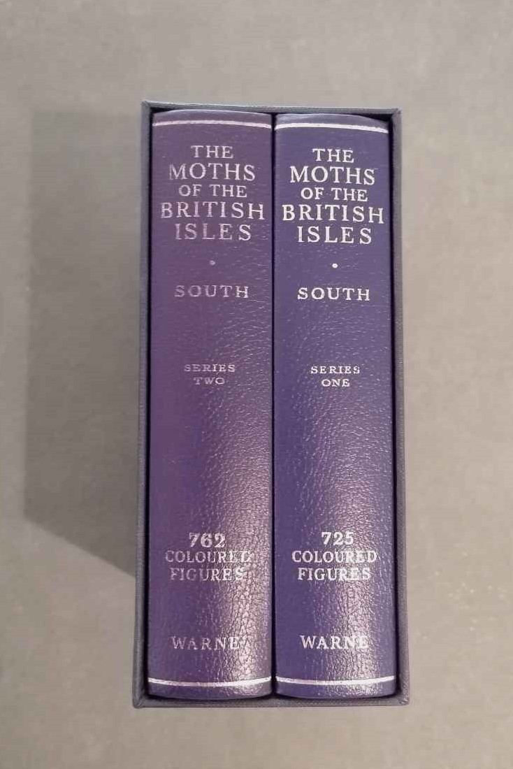 THE MOTHS OF THE BRITISH ISLES