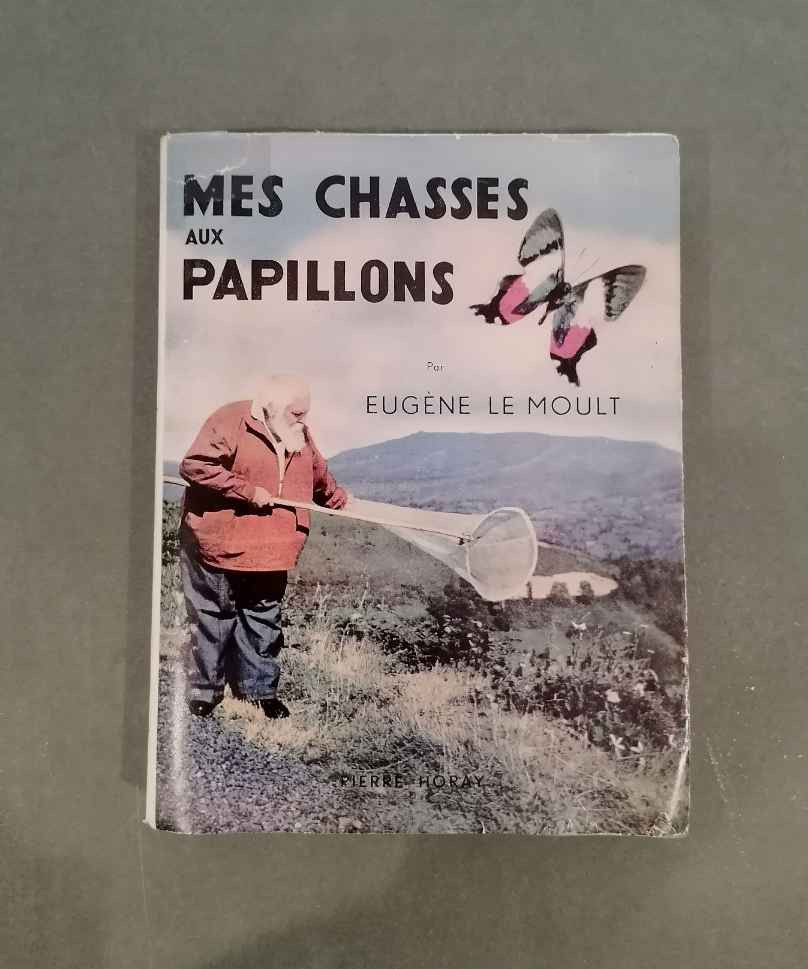 MES CHASSES AUX PAPILLONS