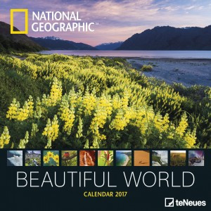 BEAUTIFUL WORLD 2017