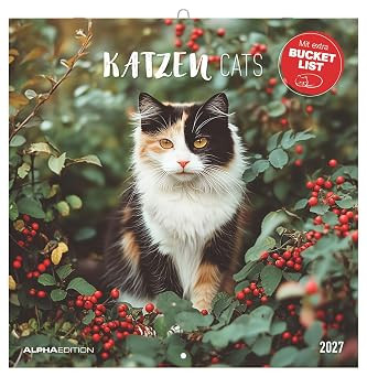 CATS 2027