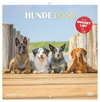 DOGS 2027