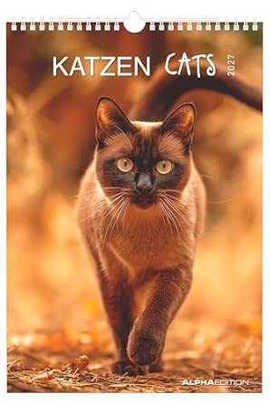 CATS 2027