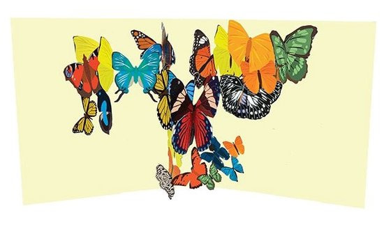 KALEIDOSCOPE BUTTERFLIES