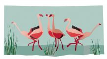 BIRDS FLAMINGOS POP UP CARD