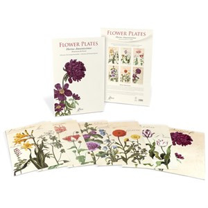 FLOWER PLATES HORTUS AMOENISSIMUS
