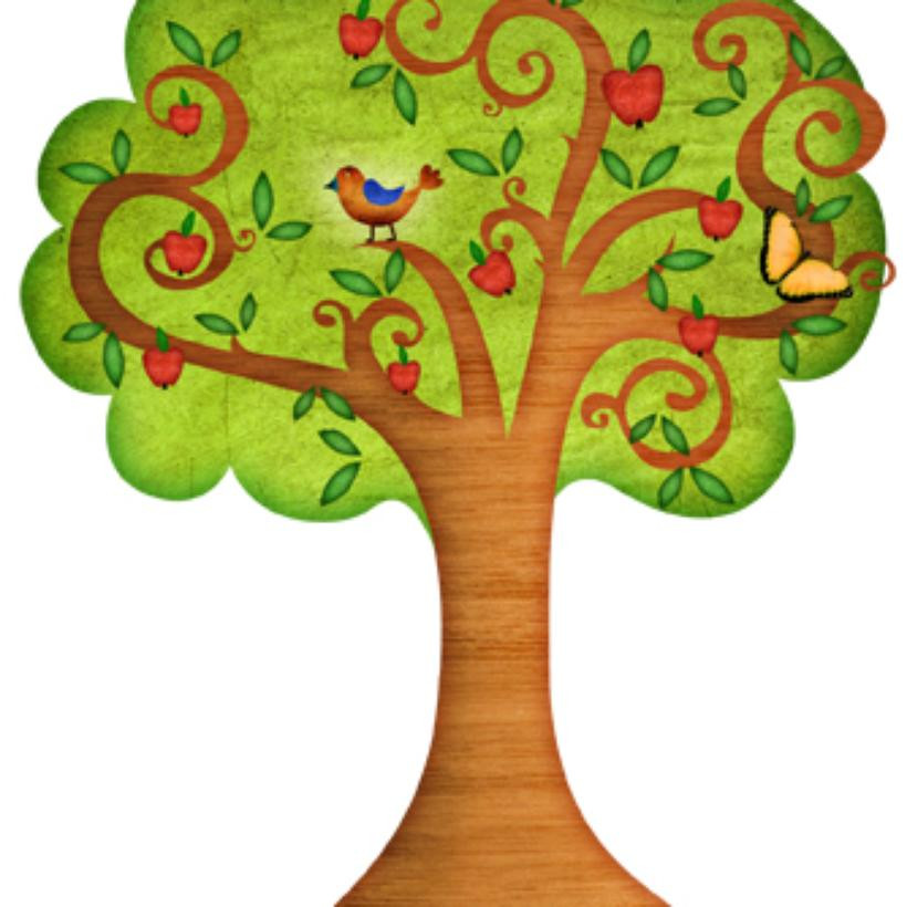 ORESTE L ALBERO DI CHI AMA LE FORESTE