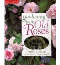 GARDENING WITH OLD ROSES