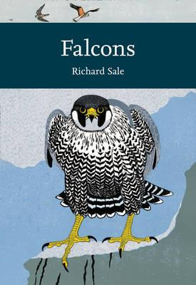 FALCONS