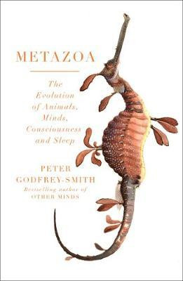 METAZOA