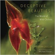 DECEPTIVE BEAUTIES