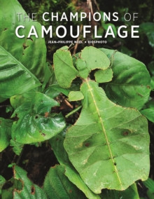 THE CHAMPIONS OF CAMOUFLAGE