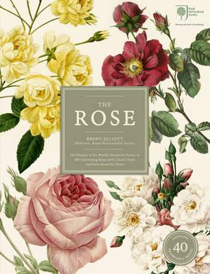 THE ROSE