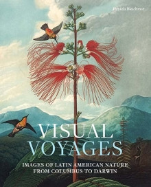 VISUAL VOYAGES
