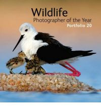 WILDLIFE PHOTOGRAPHER OF THE YEAR