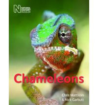CHAMALEONS