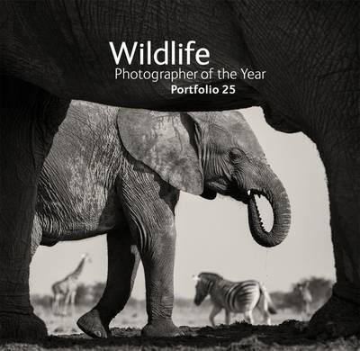 WILDLIFE PHOTOGRAPHER OF THE YEAR