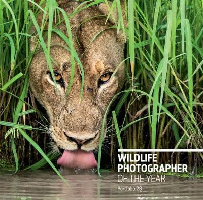 WILDLIFE PHOTOGRAPHER OF THE YEAR