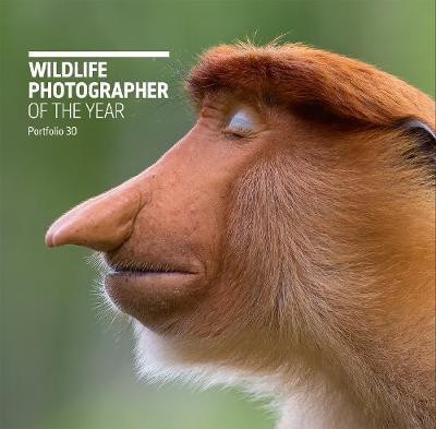 WILDLIFE PHOTOGRAPHER OF THE YEAR