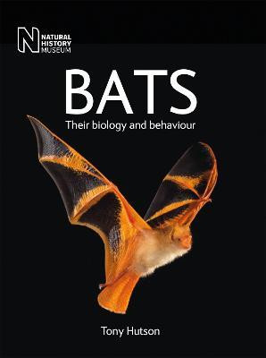 BATS