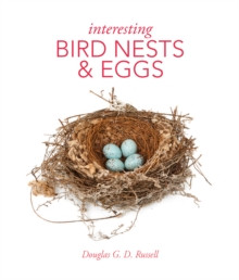 INTERESTING BIRD NESTS & EGGS