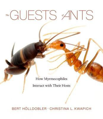 THE GUESTS OF ANTS