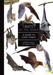 BATS OF THE WORLD