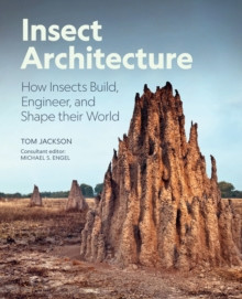 INSECT ARCHITECTURE