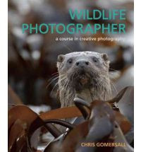 WILDLIFE PHOTOGRAPHER