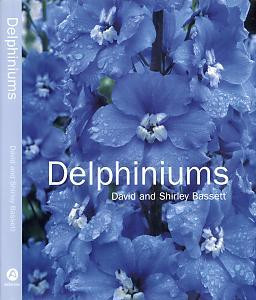 DELPHINIUMS