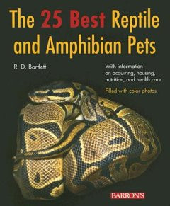 25 BEST REPTILE AND AMPHIBIANS PETS