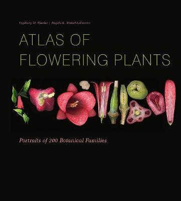 ATLAS OF FLOWERING PLANTS