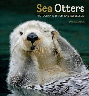 SEA OTTERS