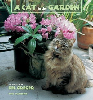 A CAT IN THE GARDEN