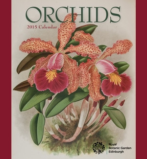 ORCHIDS