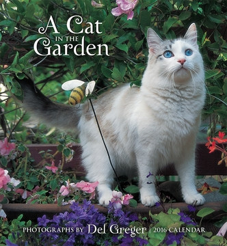 A CAT IN THE GARDEN 2016