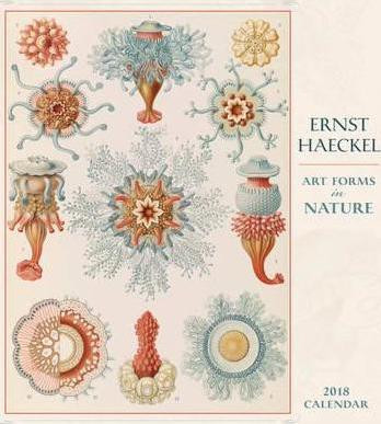 ART IN NATURE 2018 WALL CALENDAR