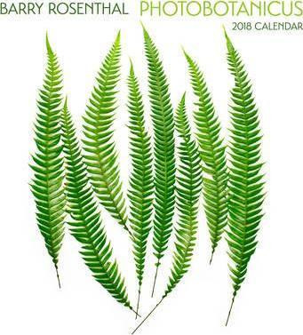PHOTOBOTANICUS 2018 WALL CALENDAR