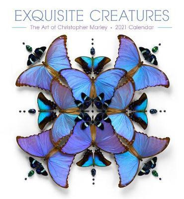 EXQUISITE CREATURES 2021 CALENDAR