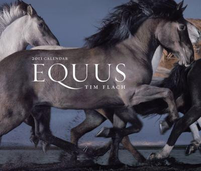 EQUUS TIM FLACH 2011 CALENDAR