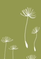 LOTTA JANSDOTTER SEEDLINGS JOURNAL