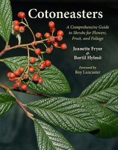 COTONEASTER