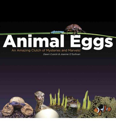 ANIMAL EGGS