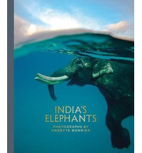 INDIA S ELEPHANTS