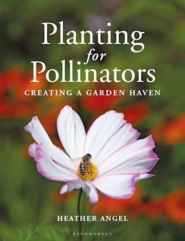 PLANTING FOR POLLINATORS